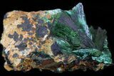 Fibrous Malachite & Azurite - Morocco #42056-1